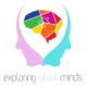 Exploring Silent Minds